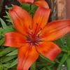 marabianca65