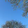 username11029833783