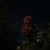 leanqa