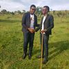eng.abel