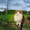 zst1nky