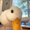 coochcream