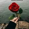 aleanud_22