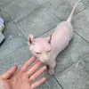 hiepnu_yb