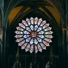 kalsifer_8552