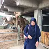 cikkyaa__
