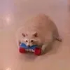 magicalmirko