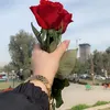 user00892255