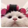 _anhduong6