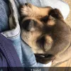 leo_srb77