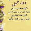 user87660358tafida