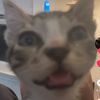 matthew_germo19