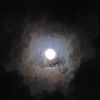 moon_zeebraa