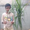 user31763974