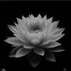 _lehaiyen_6