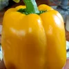 uyennguyenhuyccfgghujii0