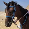 lena.rasho
