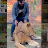 kashan_bhatti