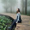 phyu710204