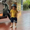 vu_hong_truong