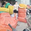 Vũ Hưng-Tổng Kho Len