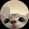 ibii.com