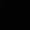 auc_29