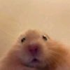 mrwnlsmn