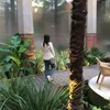 maacarolinaa