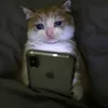 staypressedboo0