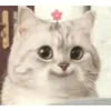 doiknowyouwu0