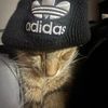kking_kush