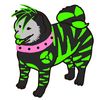 slinkyhusky