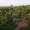 sajidsakhi2