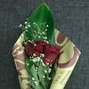 mohamed24252