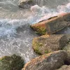sevick_5