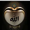 _habibahassan
