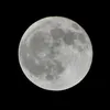 moon.kazu