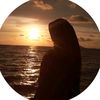 winda8655
