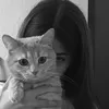 𝐙𝐡𝐢𝐧𝐨♡︎.