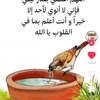 saharkozan3