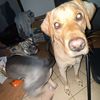bubbbyc