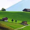 yahyasalam7