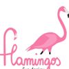 flamingo_801