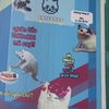 lamhoban3