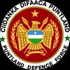 .ashaali