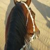 m_oham.ad