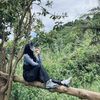 chupacupsz_