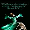 alinyazim.sen