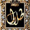 talalalzahrani007007